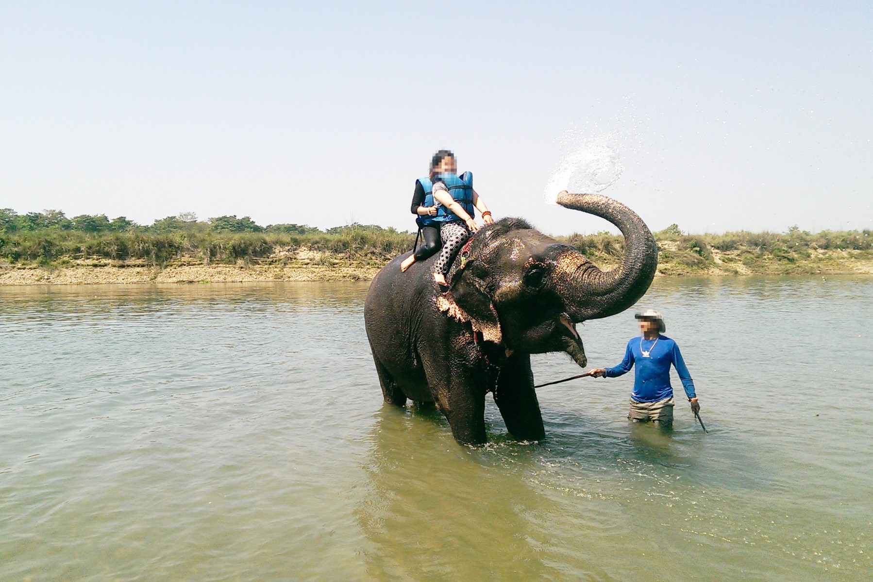 An elephant used for riding and bathing with tourists, Chitwan, Nepal - World Animal Protection