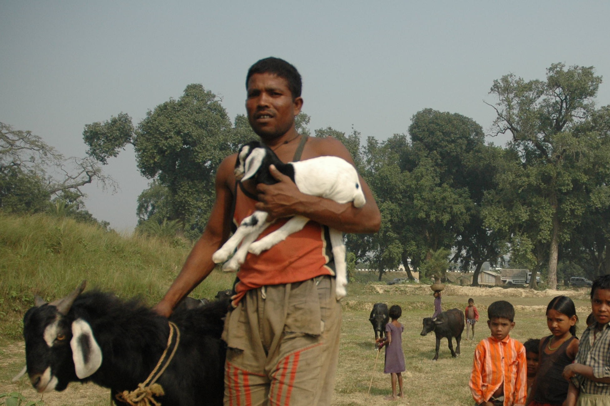 A local man brings his animals to the drill in Bihar, India