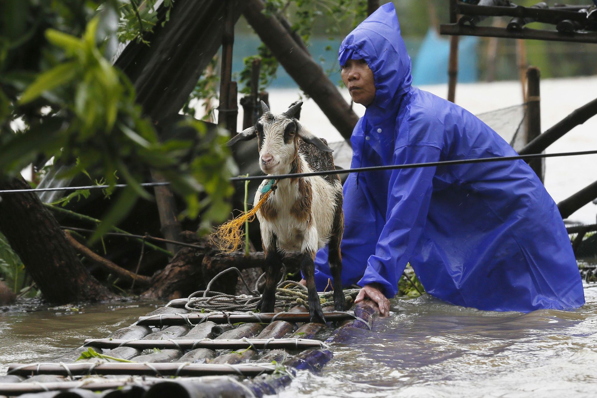 A resident reinforces his flooded home at the height of Super Typhoon Haima which lashes Narvacan township, Ilocos Sur province, Philippines - World Animal Protection
