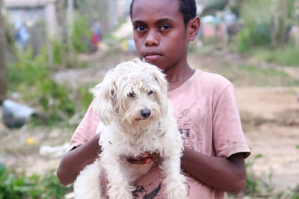 Boy holding white dog in Vanuatu - Disaster response - World Animal Protection