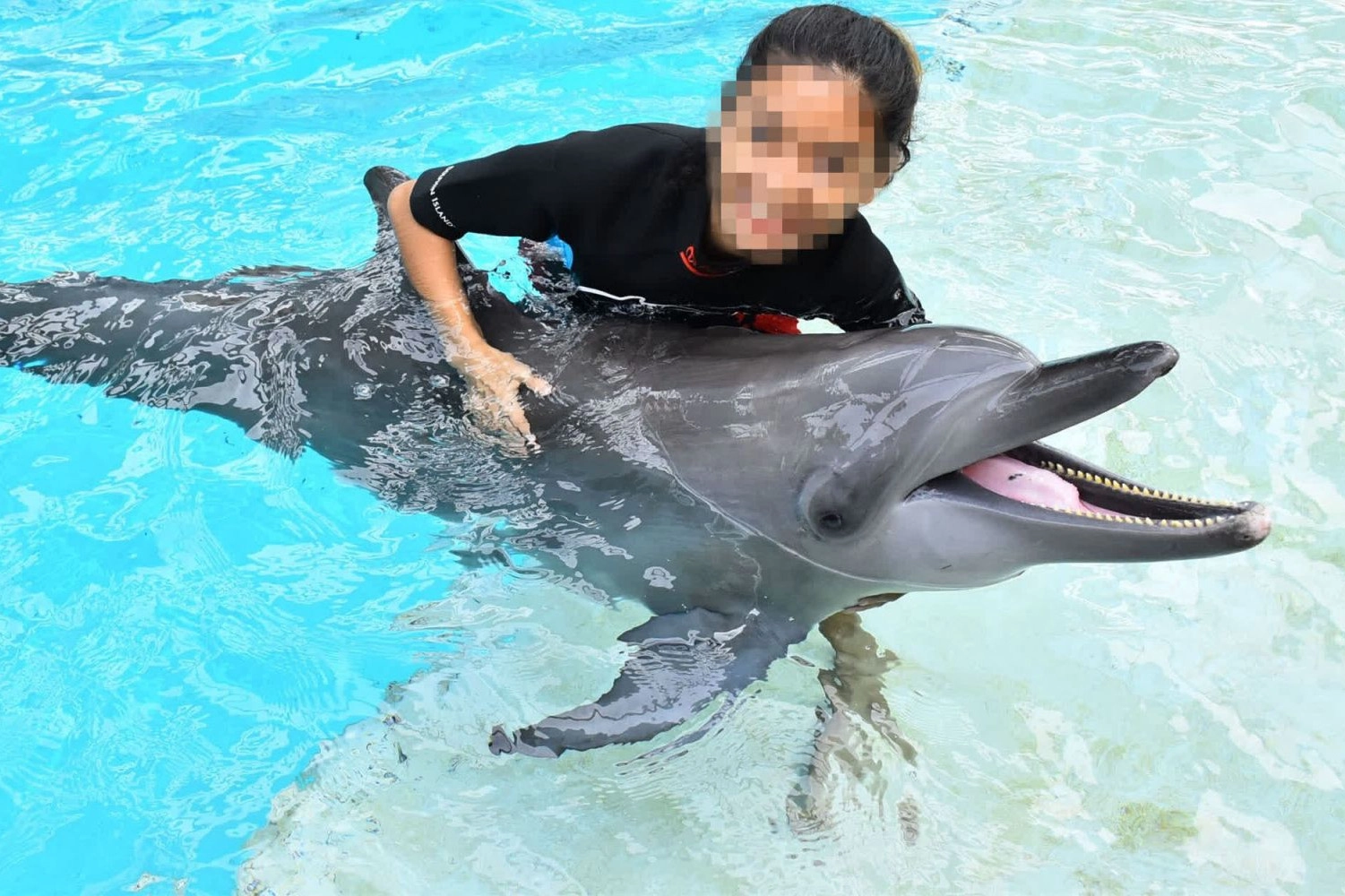 Dolphin being used for photo opportunities at Resort World Sentosa, Singapore - World Animal Protection - Dolphins in captivity