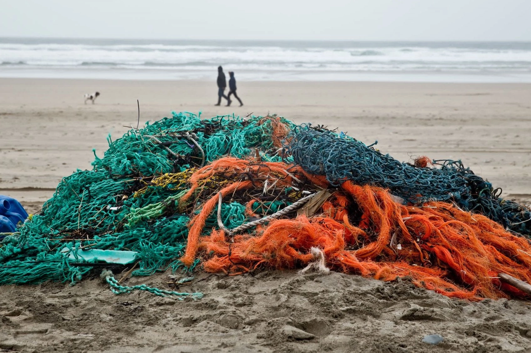 Ghost gear found after a beach clean in Cornwall, UK - Sea Change - World Animal Protection