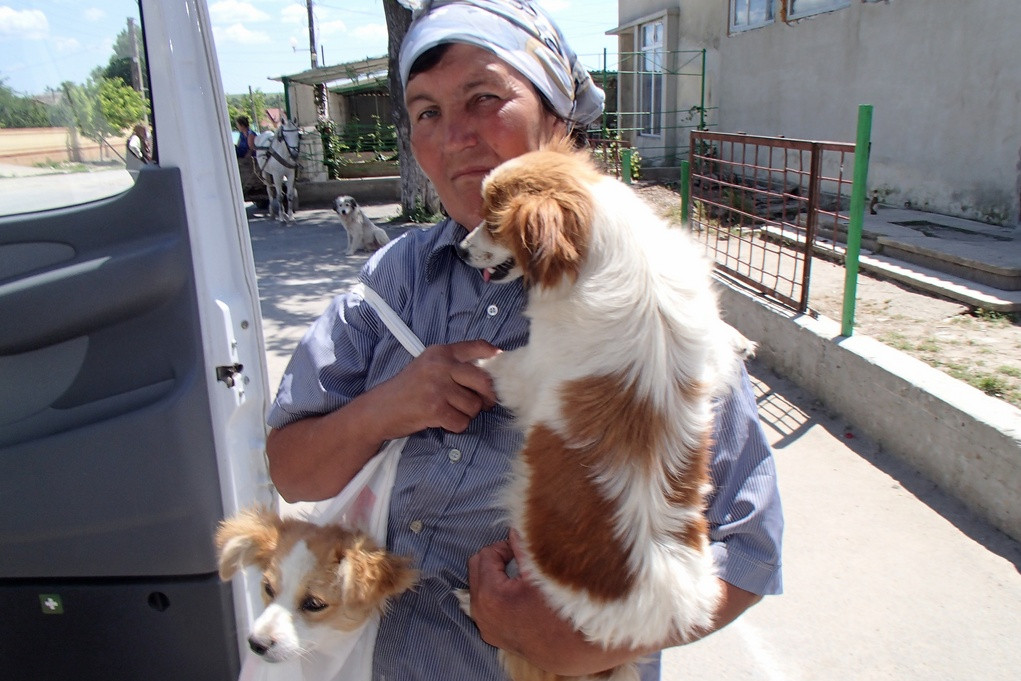 Dog is brought to our mobile clinic in Pestera, Romania