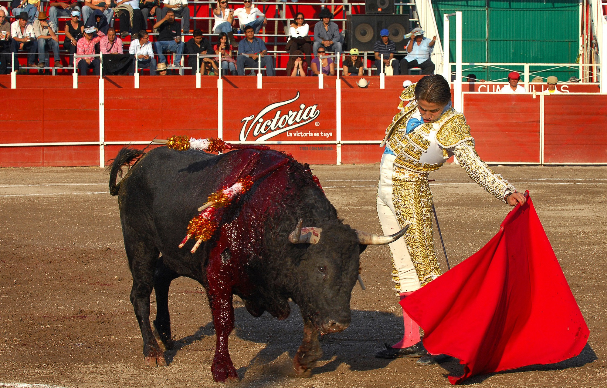 bullfighting 