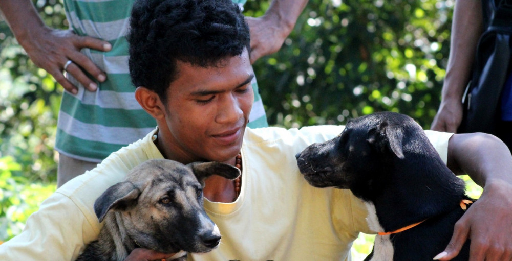 Man and dogs in Bali