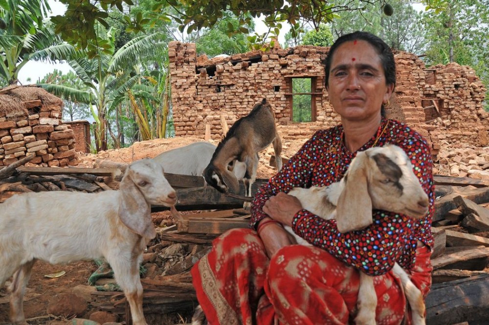 we met this woman and her goats during a disaster response in India