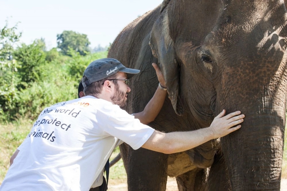 Pictured: Dr Jan examining an elephant at a high welfare sanctuary.