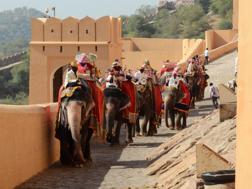 Elephants are exploited for rides up the steep slope to Amer Fort.