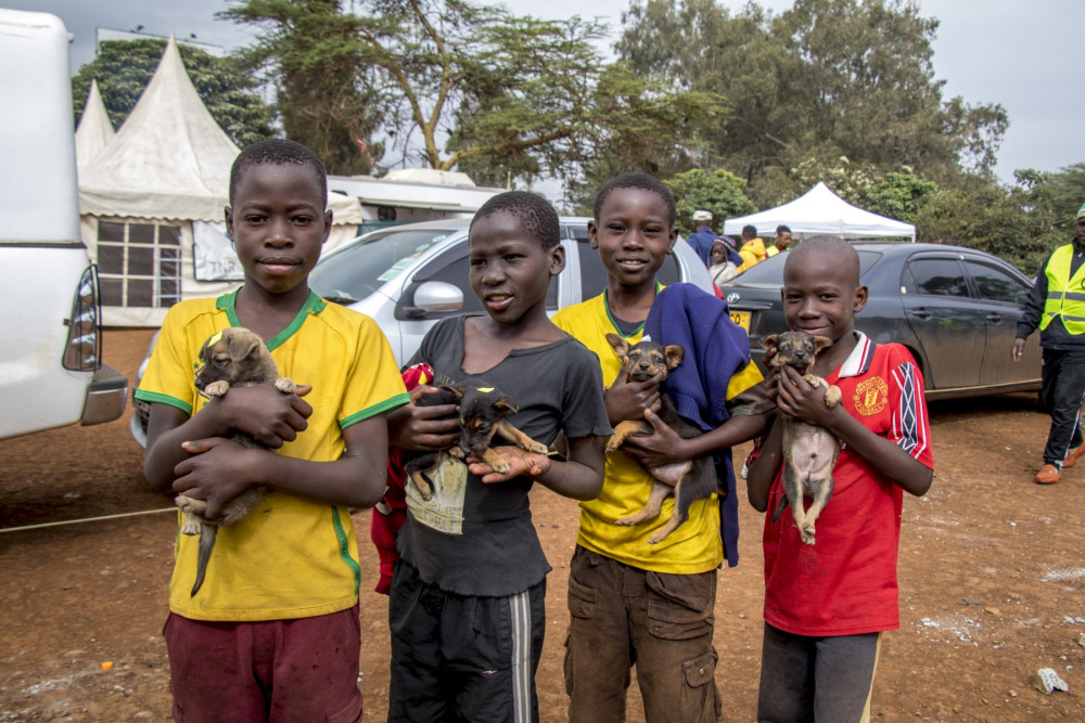 A group of boys clutch their puppies in line for rabies vaccinations