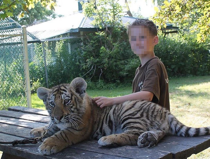  Social media post of a tourist posing with a tiger at Jungle Cat World, Canada.
