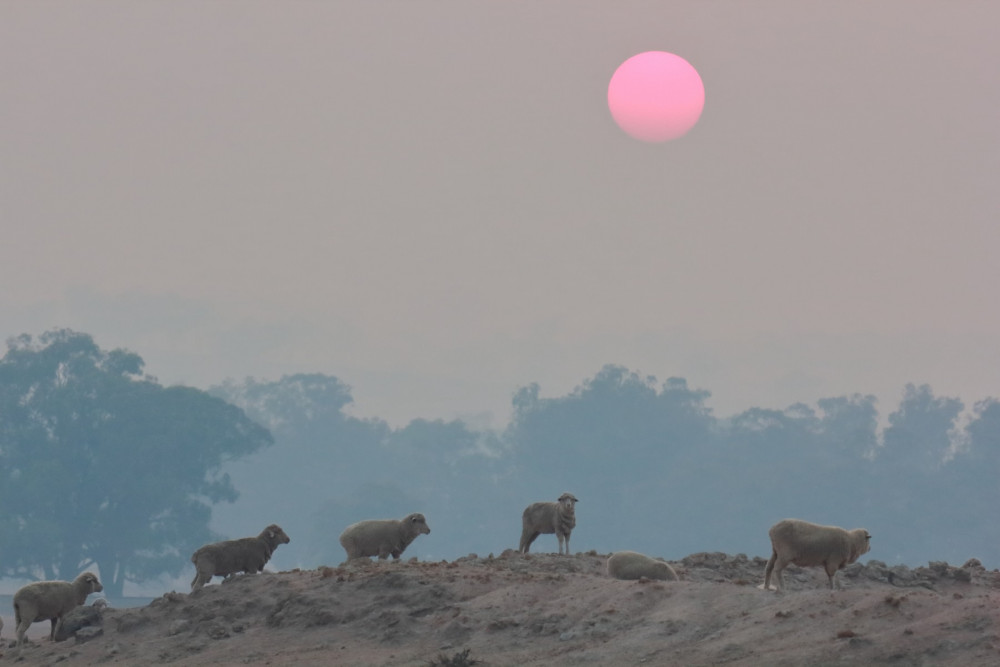 Smoke spreading across Bilpin, in New South Wales. Credit Line: Peter Tremain