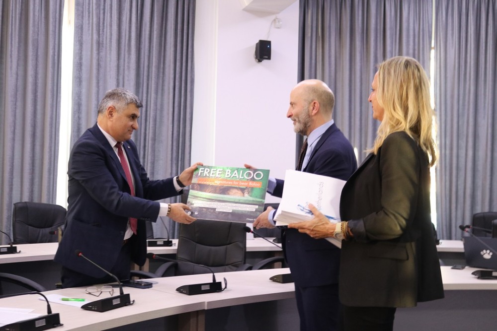  Together with Floortje Dessing, a Dutch TV presenter, World Animal Protection hands over the signatures to free Baloo to the Romanian State Secretary for Biodiversity. 