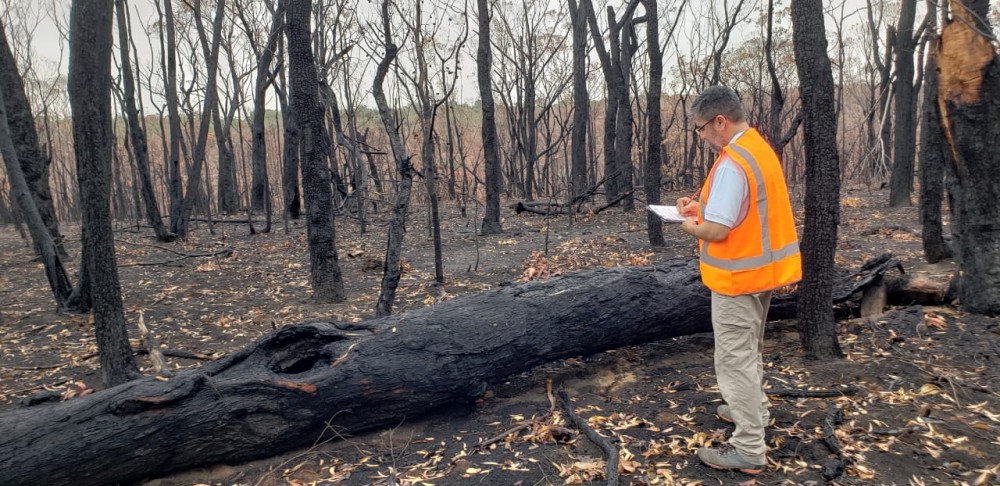 Our disaster team assessing the damage caused by the bushfires