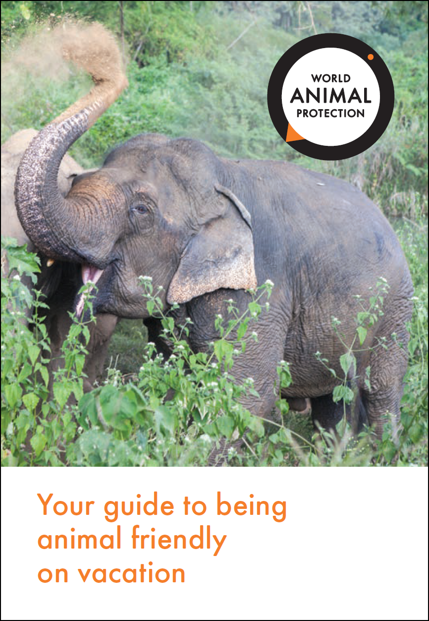 Animal Friendly Travel Guide