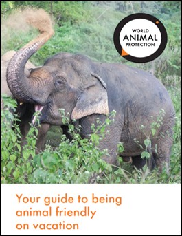 animal_friendly_travel_guide_cover_265x243