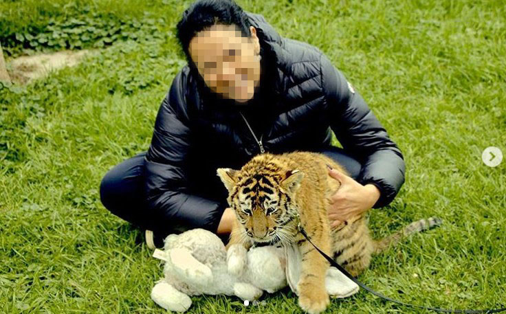 Social media post of a tourist posing with a tiger cub at Jungle Cat World, Canada.