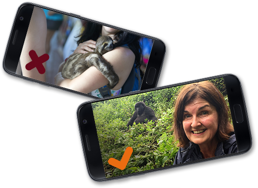 Wildlife selfie examples