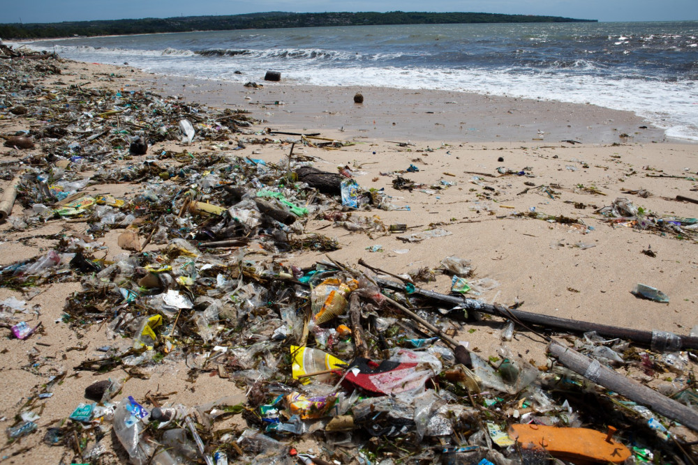Plastic pollution on the shoreline