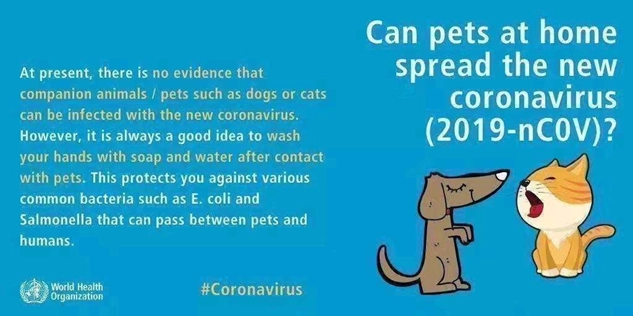WHO Coronavirus ad