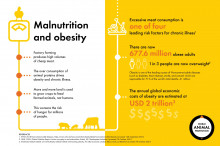 infographic describing factory farming's impact on malnutrition and obesity