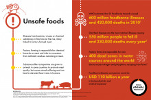 infographic describing factory farming's impact on foodborne illnesses