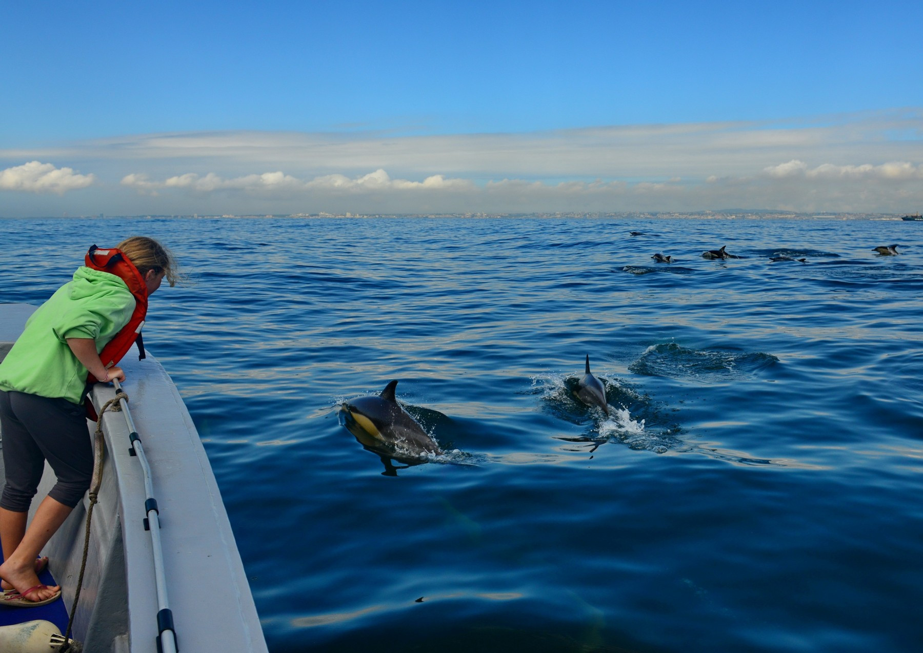 Whales in the wild at Algoa Bay Whale Heritage Site in South Africa